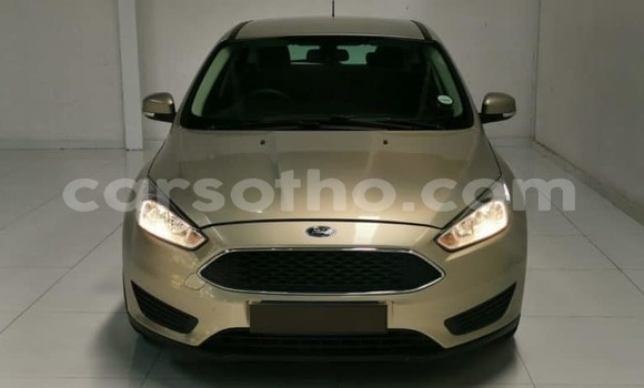 Sayi Na hannu Ford Focus Brown Mota in Maseru a Maseru Sayi Na hannu Ford Focus Brown Mota in Maseru a Maseru