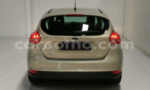 Sayi Na hannu Ford Focus Brown Mota in Maseru a Maseru Sayi Na hannu Ford Focus Brown Mota in Maseru a Maseru