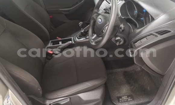 Sayi Na hannu Ford Focus Brown Mota in Maseru a Maseru Sayi Na hannu Ford Focus Brown Mota in Maseru a Maseru