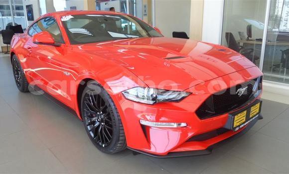 اشتري مستعمل Ford Mustang Red سيارة في Maseru في Maseru اشتري مستعمل Ford Mustang Red سيارة في Maseru في Maseru
