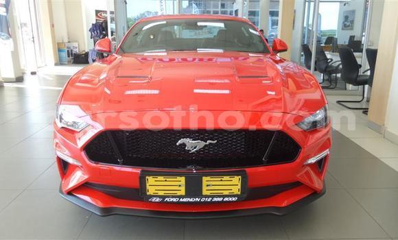 اشتري مستعمل Ford Mustang Red سيارة في Maseru في Maseru اشتري مستعمل Ford Mustang Red سيارة في Maseru في Maseru