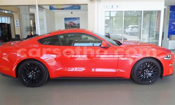 اشتري مستعمل Ford Mustang Red سيارة في Maseru في Maseru اشتري مستعمل Ford Mustang Red سيارة في Maseru في Maseru