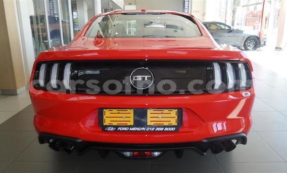 اشتري مستعمل Ford Mustang Red سيارة في Maseru في Maseru اشتري مستعمل Ford Mustang Red سيارة في Maseru في Maseru