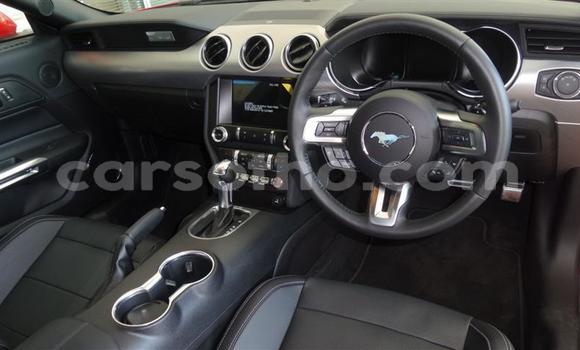 اشتري مستعمل Ford Mustang Red سيارة في Maseru في Maseru اشتري مستعمل Ford Mustang Red سيارة في Maseru في Maseru