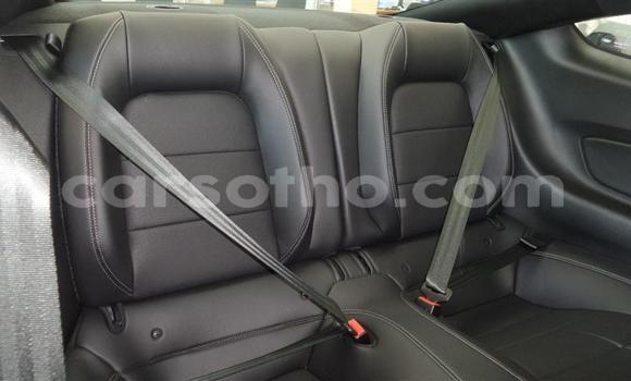 اشتري مستعمل Ford Mustang Red سيارة في Maseru في Maseru اشتري مستعمل Ford Mustang Red سيارة في Maseru في Maseru