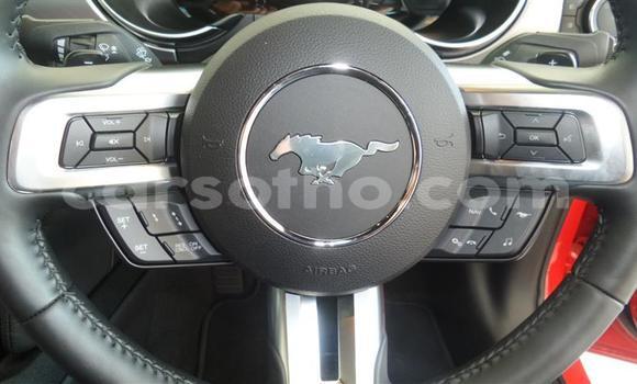 اشتري مستعمل Ford Mustang Red سيارة في Maseru في Maseru اشتري مستعمل Ford Mustang Red سيارة في Maseru في Maseru
