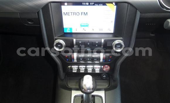 اشتري مستعمل Ford Mustang Red سيارة في Maseru في Maseru اشتري مستعمل Ford Mustang Red سيارة في Maseru في Maseru