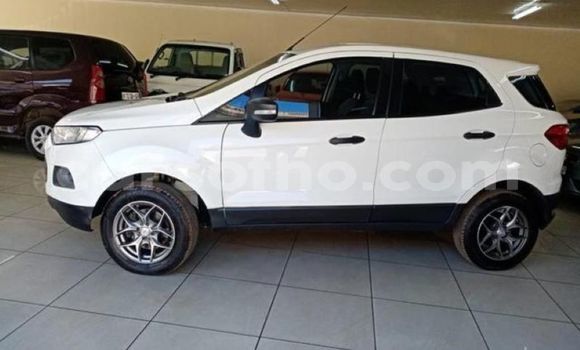 Buy Used Ford EcoSport White Car in Hlotse in Leribe Buy Used Ford EcoSport White Car in Hlotse in Leribe