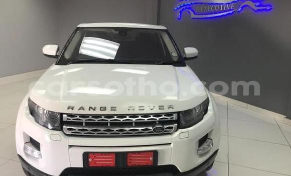 اشتري مستعمل Land Rover Range Rover Evoque White سيارة في Maseru في Maseru اشتري مستعمل Land Rover Range Rover Evoque White سيارة في Maseru في Maseru