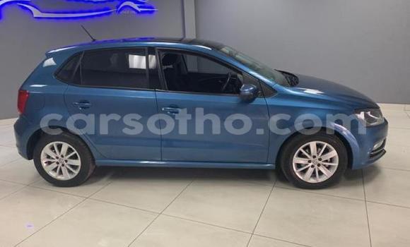 Buy Used Volkswagen Polo Blue Car in Maseru in Maseru Buy Used Volkswagen Polo Blue Car in Maseru in Maseru