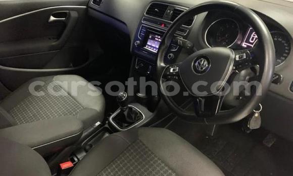 Buy Used Volkswagen Polo Blue Car in Maseru in Maseru Buy Used Volkswagen Polo Blue Car in Maseru in Maseru