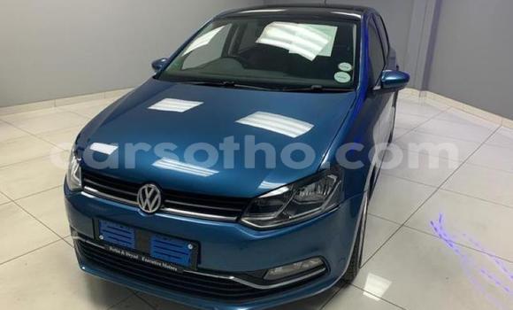 Buy Used Volkswagen Polo Blue Car in Maseru in Maseru Buy Used Volkswagen Polo Blue Car in Maseru in Maseru