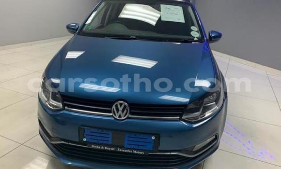 Buy Used Volkswagen Polo Blue Car in Maseru in Maseru Buy Used Volkswagen Polo Blue Car in Maseru in Maseru