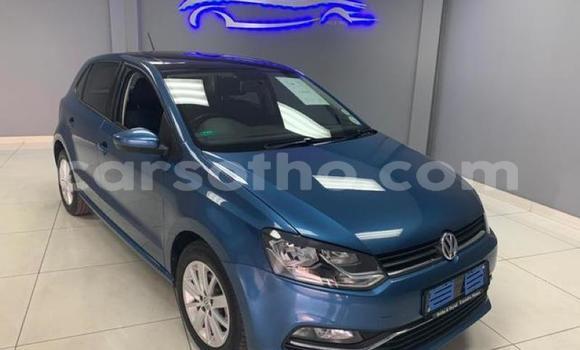 Buy Used Volkswagen Polo Blue Car in Maseru in Maseru Buy Used Volkswagen Polo Blue Car in Maseru in Maseru