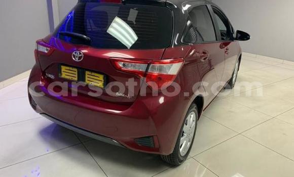 اشتري مستعمل Toyota Yaris Red سيارة في Maseru في Maseru اشتري مستعمل Toyota Yaris Red سيارة في Maseru في Maseru