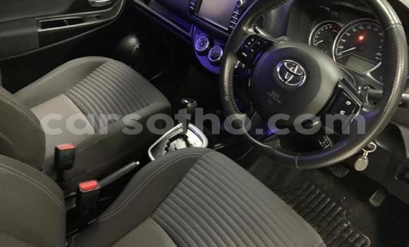 اشتري مستعمل Toyota Yaris Red سيارة في Maseru في Maseru اشتري مستعمل Toyota Yaris Red سيارة في Maseru في Maseru