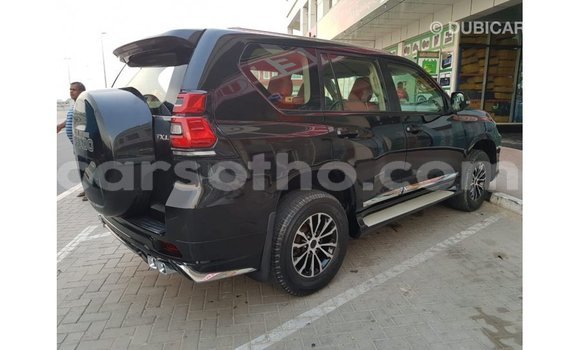 Buy Import Toyota Prado Black Car in Import - Dubai in Maseru Buy Import Toyota Prado Black Car in Import - Dubai in Maseru