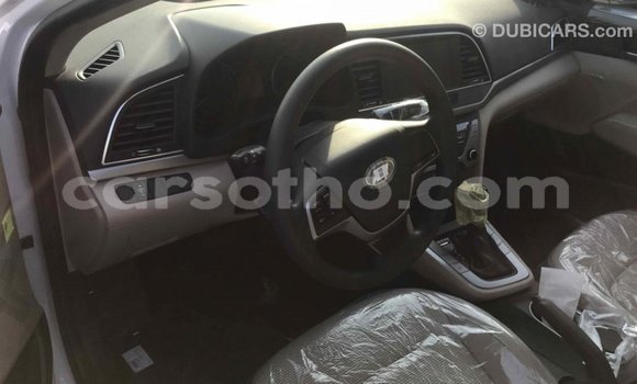 Sayi Imported Hyundai Elantra White Mota in Import - Dubai a Maseru Sayi Imported Hyundai Elantra White Mota in Import - Dubai a Maseru