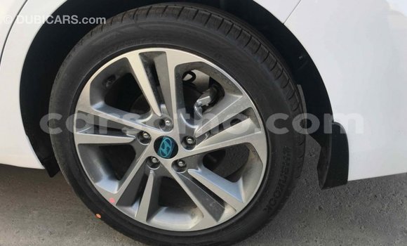 Sayi Imported Hyundai Elantra White Mota in Import - Dubai a Maseru Sayi Imported Hyundai Elantra White Mota in Import - Dubai a Maseru