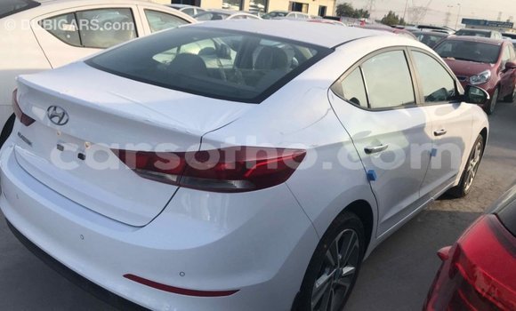 Sayi Imported Hyundai Elantra White Mota in Import - Dubai a Maseru Sayi Imported Hyundai Elantra White Mota in Import - Dubai a Maseru