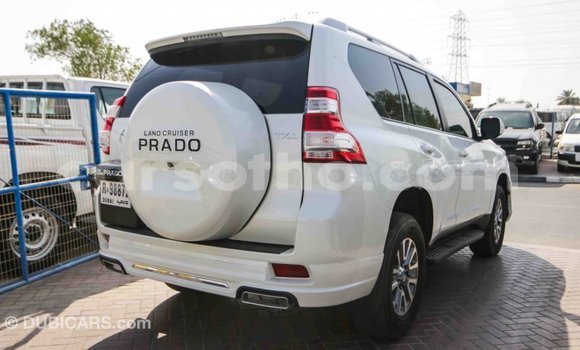 Sayi Imported Toyota Prado White Mota in Import - Dubai a Maseru Sayi Imported Toyota Prado White Mota in Import - Dubai a Maseru