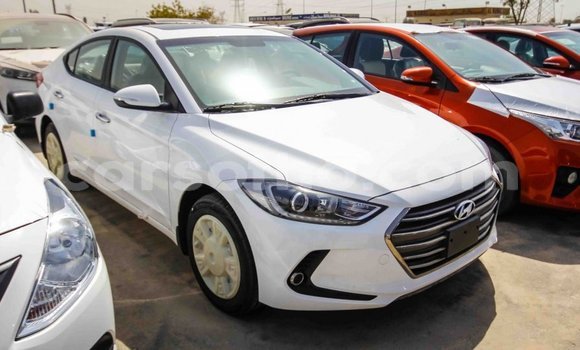 Sayi Imported Hyundai Elantra White Mota in Import - Dubai a Maseru Sayi Imported Hyundai Elantra White Mota in Import - Dubai a Maseru