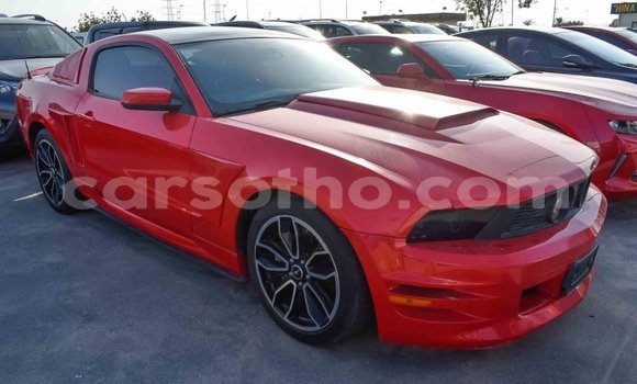 Sayi Imported Ford Mustang Red Mota in Import - Dubai a Maseru Sayi Imported Ford Mustang Red Mota in Import - Dubai a Maseru