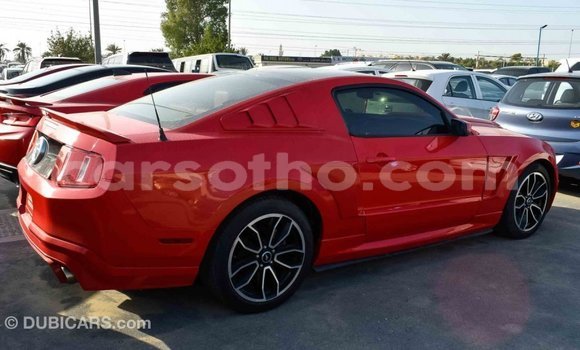 Sayi Imported Ford Mustang Red Mota in Import - Dubai a Maseru Sayi Imported Ford Mustang Red Mota in Import - Dubai a Maseru