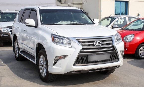 Sayi Imported Lexus GX White Mota in Import - Dubai a Maseru Sayi Imported Lexus GX White Mota in Import - Dubai a Maseru