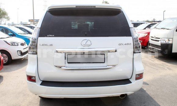 Sayi Imported Lexus GX White Mota in Import - Dubai a Maseru Sayi Imported Lexus GX White Mota in Import - Dubai a Maseru