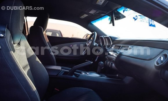 اشتري Imported Chevrolet Camaro Other سيارة في Import - Dubai في Maseru اشتري Imported Chevrolet Camaro Other سيارة في Import - Dubai في Maseru