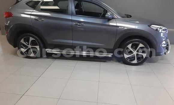 Buy Used Hyundai Tucson Silver Car in Hlotse in Leribe Buy Used Hyundai Tucson Silver Car in Hlotse in Leribe