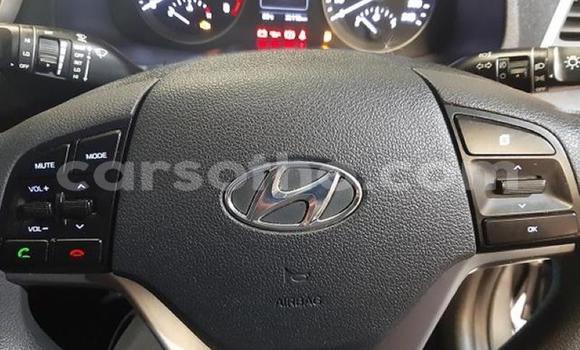 Buy Used Hyundai Tucson Silver Car in Hlotse in Leribe Buy Used Hyundai Tucson Silver Car in Hlotse in Leribe