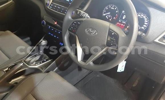 Buy Used Hyundai Tucson Silver Car in Hlotse in Leribe Buy Used Hyundai Tucson Silver Car in Hlotse in Leribe