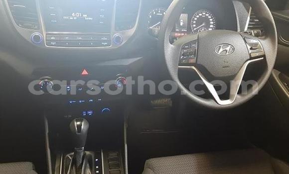 Buy Used Hyundai Tucson Silver Car in Hlotse in Leribe Buy Used Hyundai Tucson Silver Car in Hlotse in Leribe