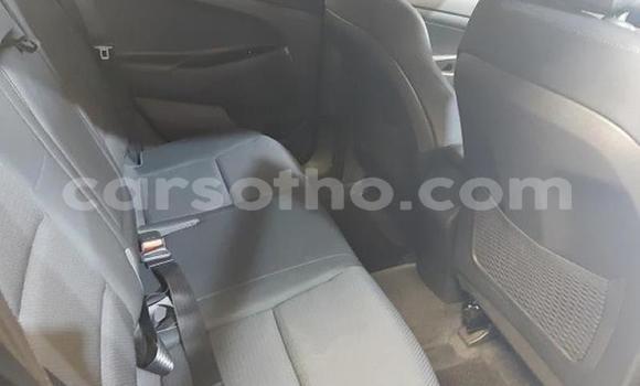 Buy Used Hyundai Tucson Silver Car in Hlotse in Leribe Buy Used Hyundai Tucson Silver Car in Hlotse in Leribe