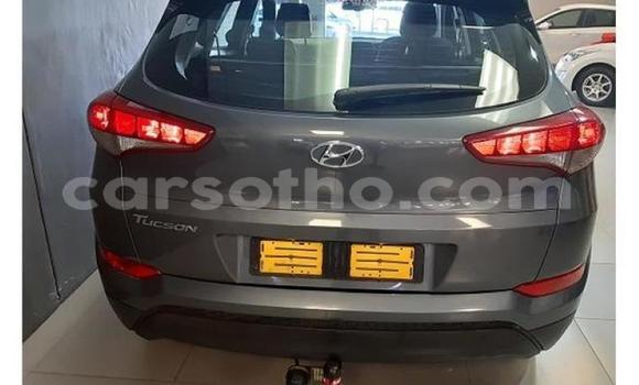 Buy Used Hyundai Tucson Silver Car in Hlotse in Leribe Buy Used Hyundai Tucson Silver Car in Hlotse in Leribe