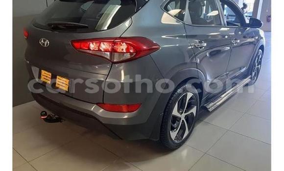 Buy Used Hyundai Tucson Silver Car in Hlotse in Leribe Buy Used Hyundai Tucson Silver Car in Hlotse in Leribe