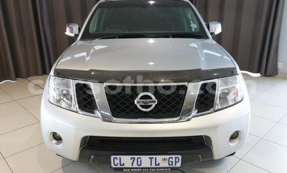 اشتري مستعمل Nissan Navara Silver سيارة في Hlotse في Leribe اشتري مستعمل Nissan Navara Silver سيارة في Hlotse في Leribe