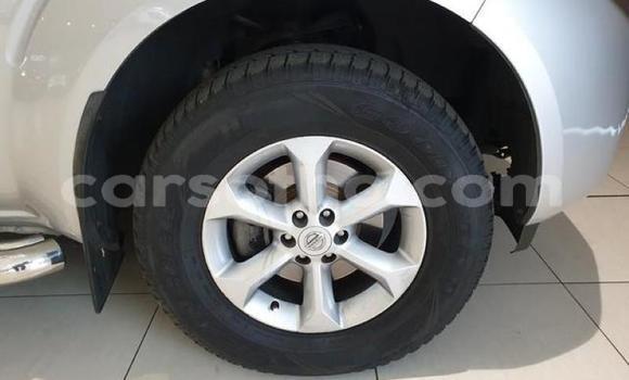 اشتري مستعمل Nissan Navara Silver سيارة في Hlotse في Leribe اشتري مستعمل Nissan Navara Silver سيارة في Hlotse في Leribe