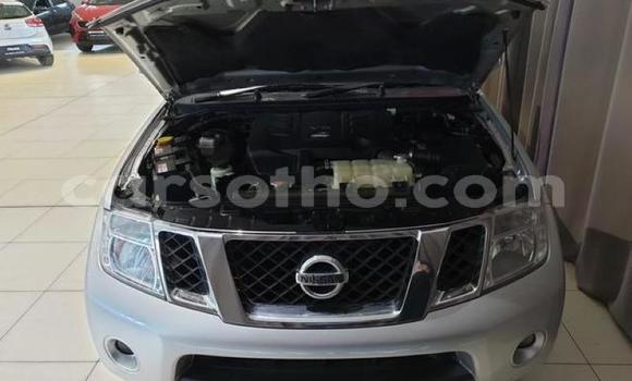 اشتري مستعمل Nissan Navara Silver سيارة في Hlotse في Leribe اشتري مستعمل Nissan Navara Silver سيارة في Hlotse في Leribe