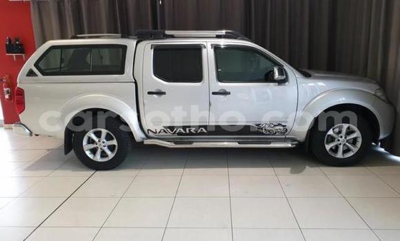اشتري مستعمل Nissan Navara Silver سيارة في Hlotse في Leribe اشتري مستعمل Nissan Navara Silver سيارة في Hlotse في Leribe