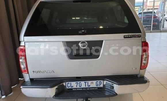 اشتري مستعمل Nissan Navara Silver سيارة في Hlotse في Leribe اشتري مستعمل Nissan Navara Silver سيارة في Hlotse في Leribe