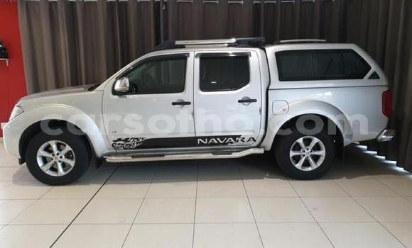اشتري مستعمل Nissan Navara Silver سيارة في Hlotse في Leribe اشتري مستعمل Nissan Navara Silver سيارة في Hlotse في Leribe