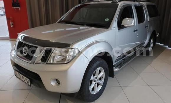 اشتري مستعمل Nissan Navara Silver سيارة في Hlotse في Leribe اشتري مستعمل Nissan Navara Silver سيارة في Hlotse في Leribe