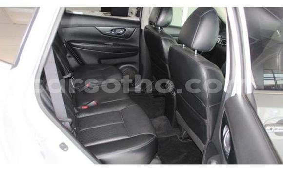 اشتري مستعمل Nissan X–Trail Silver سيارة في Hlotse في Leribe اشتري مستعمل Nissan X–Trail Silver سيارة في Hlotse في Leribe