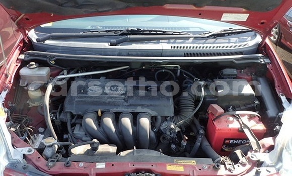 Acheter Occasion Voiture Toyota Corolla Spacio Rouge à Maputsoe, Leribe Acheter Occasion Voiture Toyota Corolla Spacio Rouge à Maputsoe, Leribe