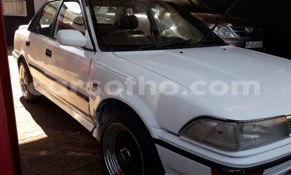 اشتري مستعمل Toyota Corolla White سيارة في Maseru في Maseru اشتري مستعمل Toyota Corolla White سيارة في Maseru في Maseru