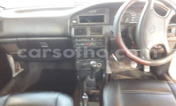 اشتري مستعمل Toyota Corolla White سيارة في Maseru في Maseru اشتري مستعمل Toyota Corolla White سيارة في Maseru في Maseru