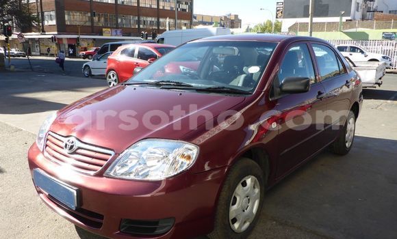 Sayi Na hannu Toyota Corolla Other Mota in Maseru a Maseru Sayi Na hannu Toyota Corolla Other Mota in Maseru a Maseru